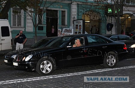 Украинская теле-"звезда"