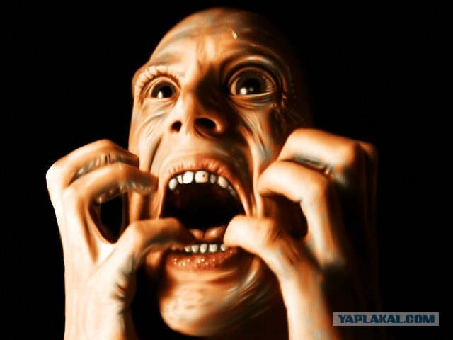 Эффектно остановился по требованию ДПС