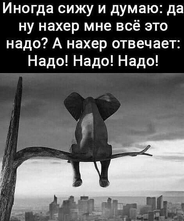 Воскресные картинки