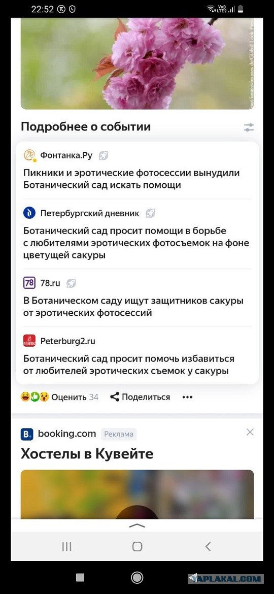 «Лежат под кустом полуголые девушки, это наглость!»: Ботанический сад Петербурга ищет волонтеров для защиты от эросъемок у сакур