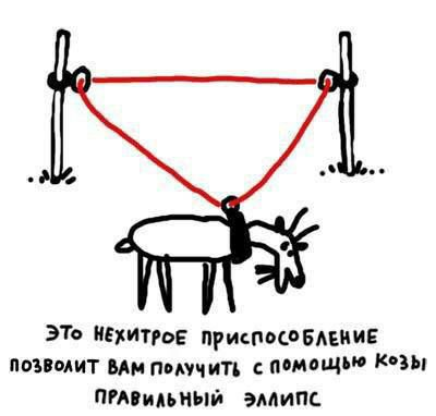 Так себе картинки 26.07.21