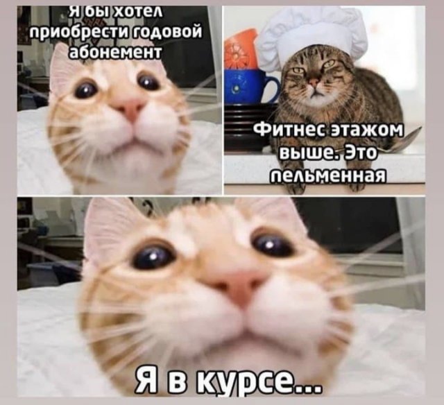 Картинки и мемы для настроения