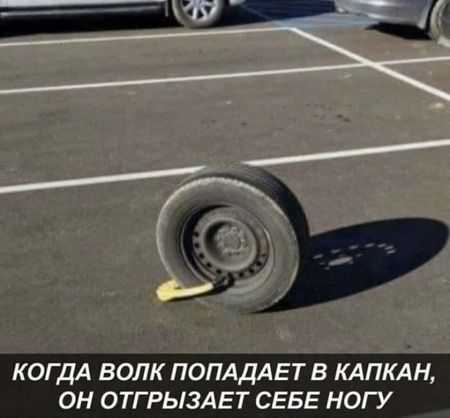 Так себе картинки 13.11.21