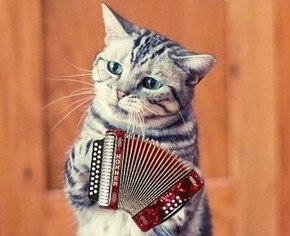 Редакция здорового человека