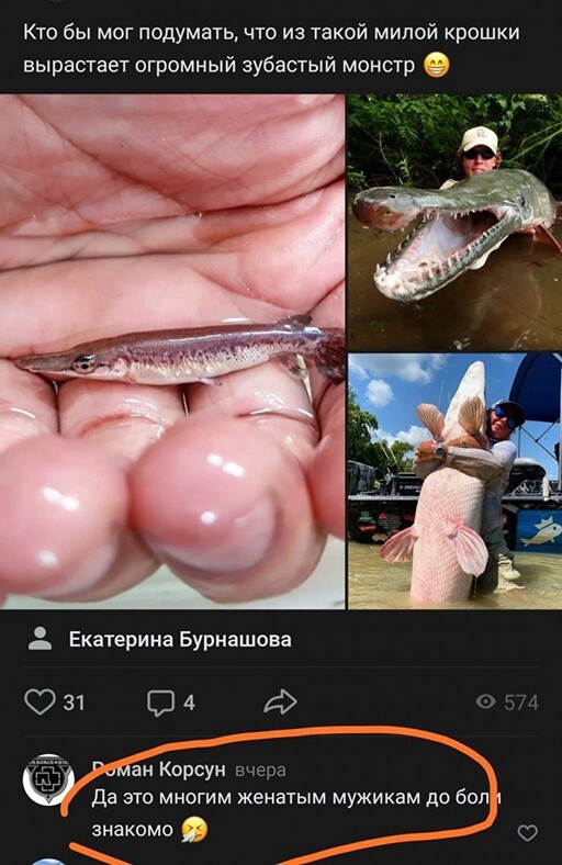 Так себе картинки 23.04.22