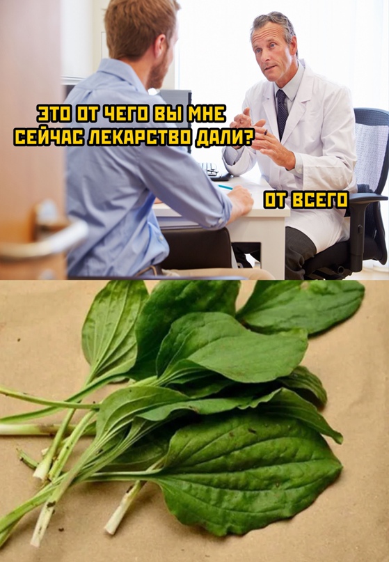 Картинки и мемы, начало праздников