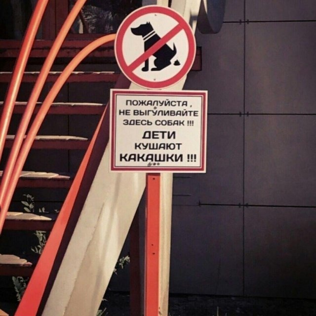 Чуток картинок 13.06.22