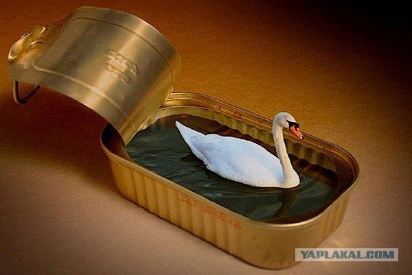 Art Modern