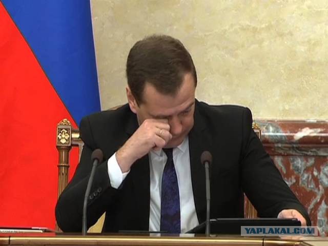 Вот и Димон проснулся.