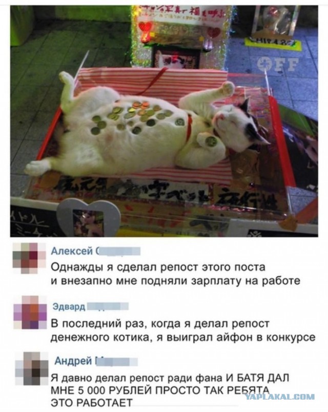 Скриншоты и комментарии из социальных сетей 10.12.22
