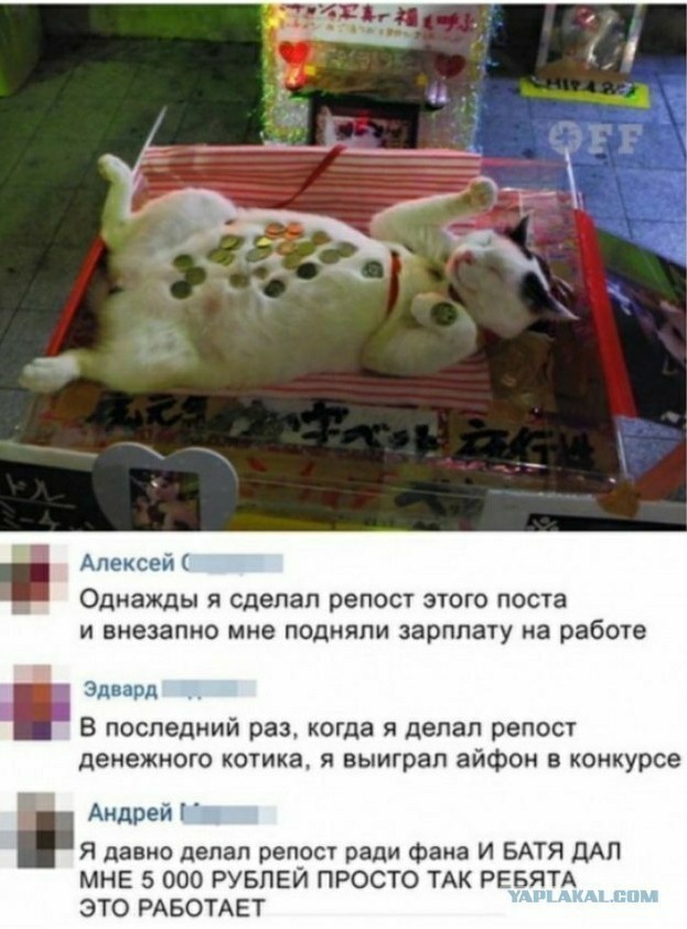Извините. Деньги очень нужны