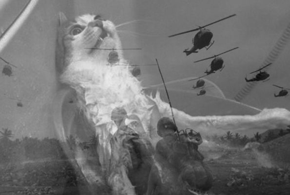 Сила