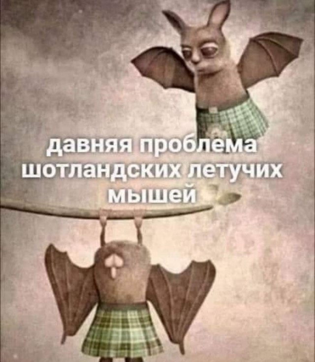 Немного картинок для настроения 07.03.2023