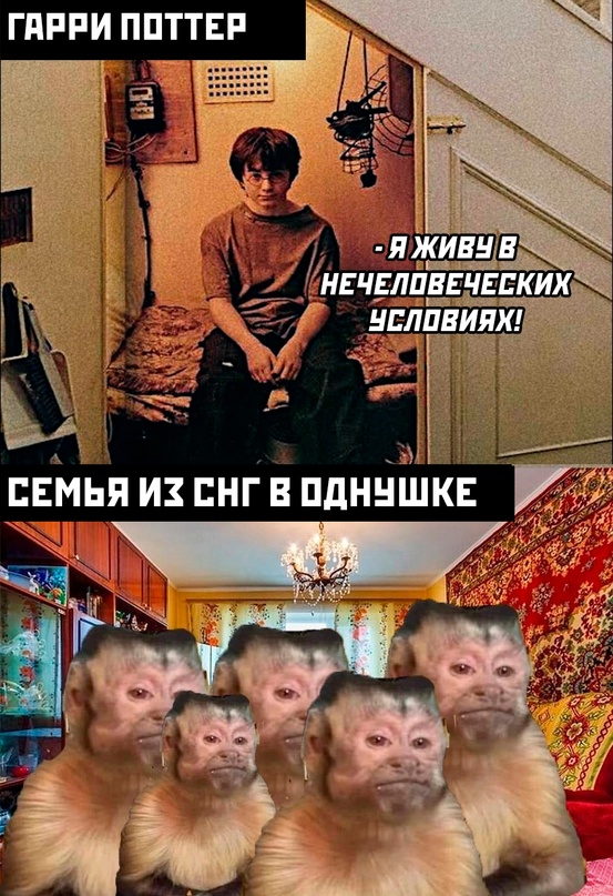 Картинки и мемы, всяко разно - 181