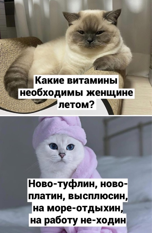 Картинки и мемы, всяко разно - 183