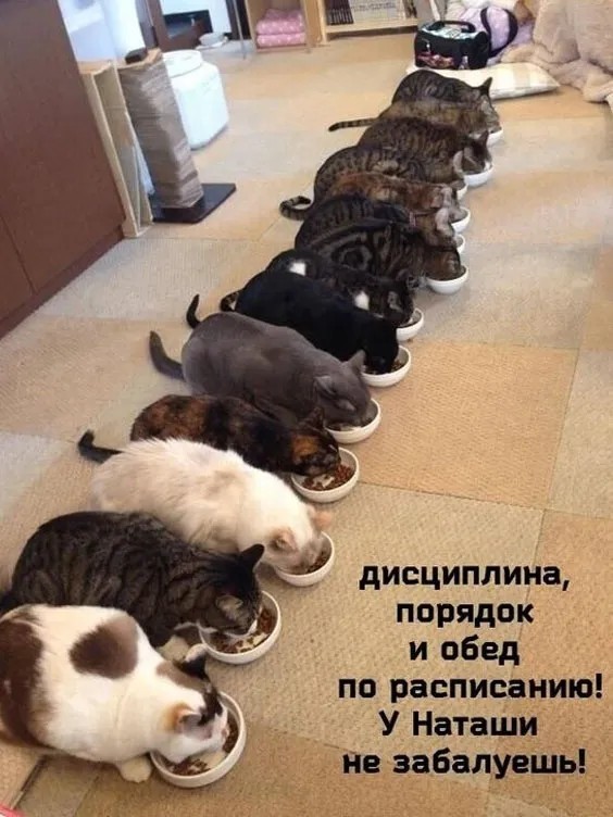 Картинки с надписями 09.07.23