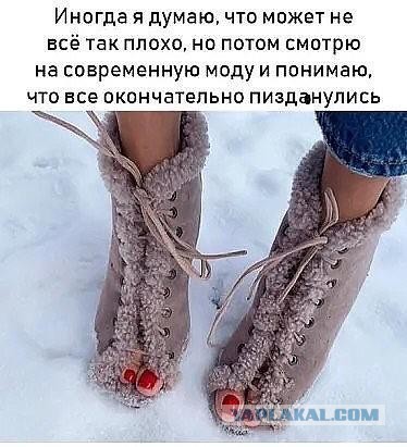 Модные говнодавы