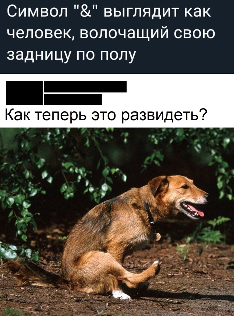 https://s00.yaplakal.com/pics/pics_original/0/1/9/18691910.jpg