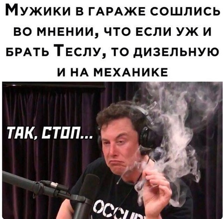 Показывайте кота!