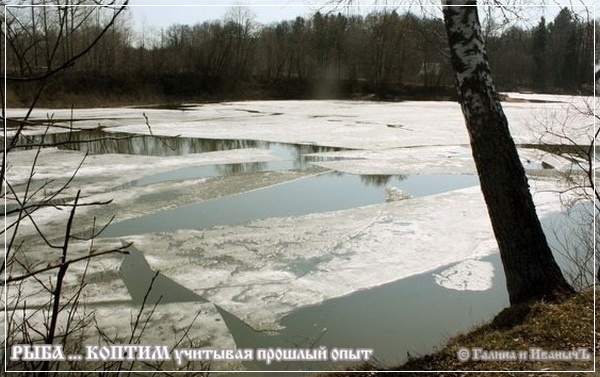Рыба ... коптим ...