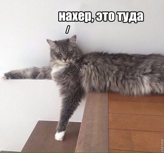 Всего понемногу. От 24.06.2024