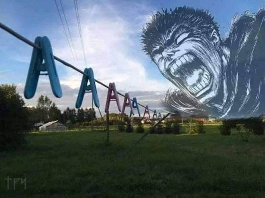Нуштош 16.08.2024