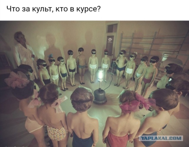 Весёлый полтишок 22.11.24