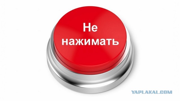 Весёлый полтишок 06.12.24