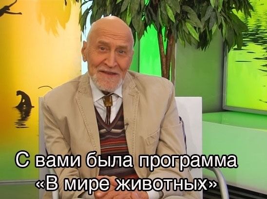 Свадебные забавы