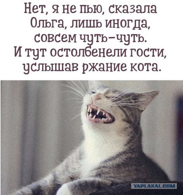 30 картинок на субботу