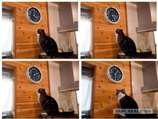 Снято у нас в Туле и области