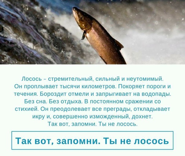 Картинки для деградации 12 (разной степени свежести)