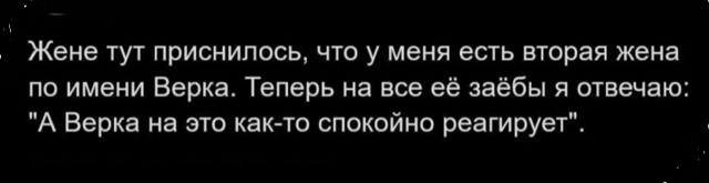 Папа, а кто такой диктатор?
