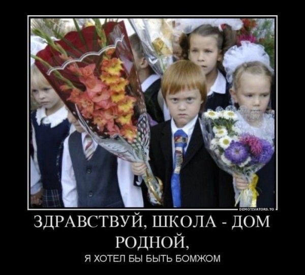 Так себе картинки 01.09.25