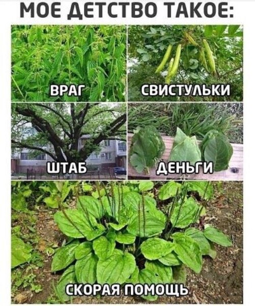 Картинки для деградации 60 (разной степени свежести)