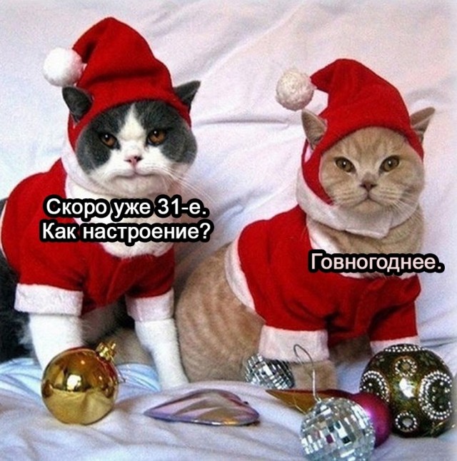 В засаде!!!