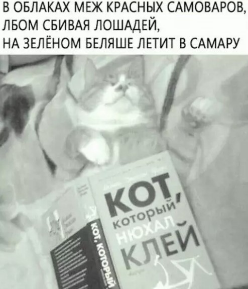 Котямбосы