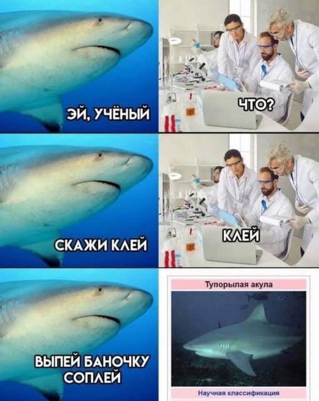 Веселые картинки в пятницу (31.07)