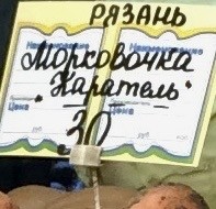 Кем же будет кабачок?