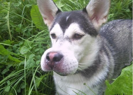 Я не знаю как это озаглавить. Часть 2.