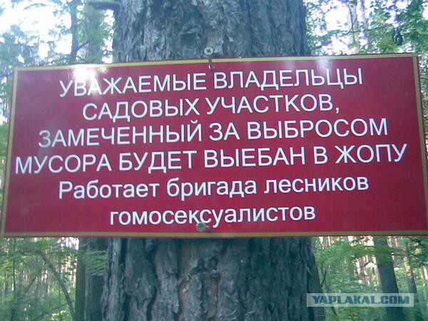 Маразмы года 2013