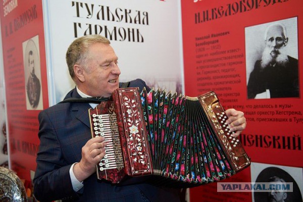 Белка и кот, старые друзья