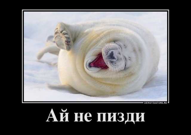 Странный пенсионер