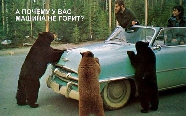 Фотки из интернета.