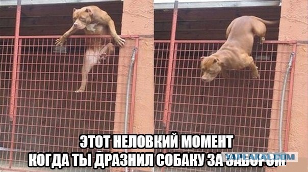 Позитивные картинки