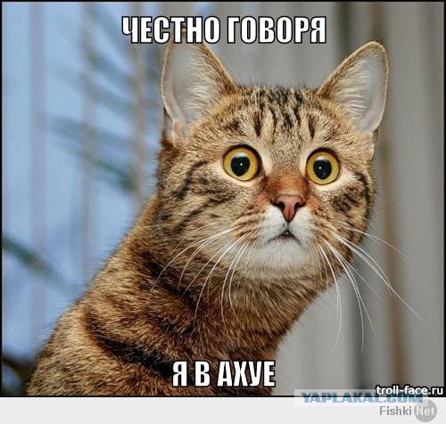 Кличко мэр Киева?