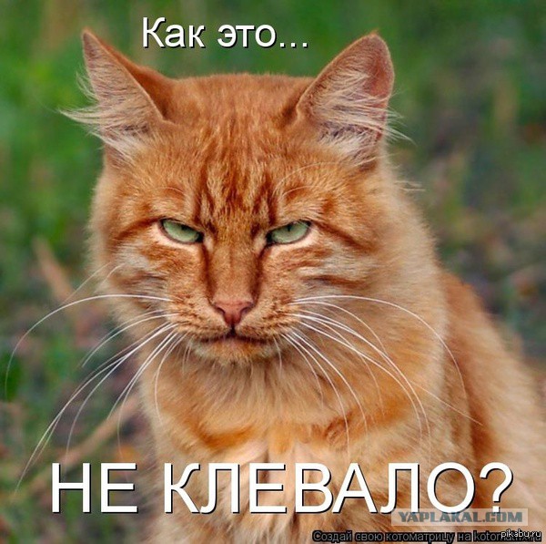 Серебрянское водохранилище.