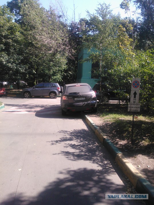 Мудаки и газоны