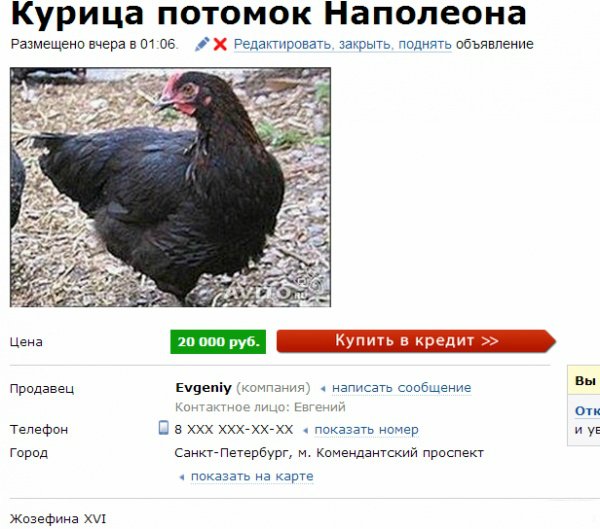 Объявления, анонсы из сети.