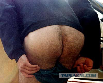 Польша мечтает уничтожить Россию с помощью Запада